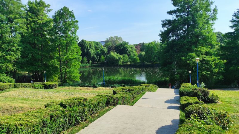 Tei, Parcul Circului,