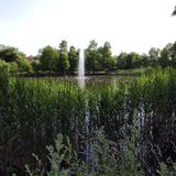 Tei, Parcul Circului